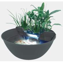 Mini Teich, Medaka Bowls und Zubehör