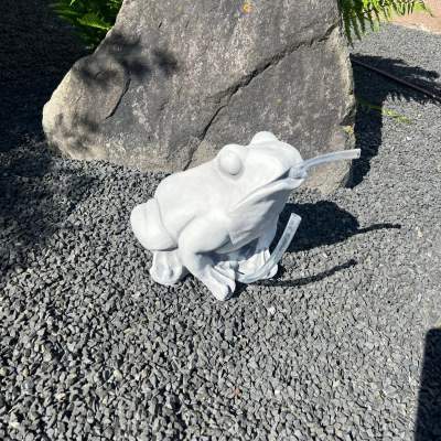 Frosch/ Wasserspeier