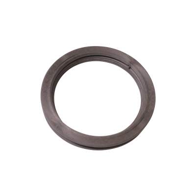Dichtung 100 BioTec 30/36