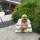 Figur Happy Buddha Holz weiß 15 cm