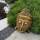 Buddha goldene Wandmaske 30 cm