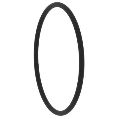 O-Ring für Pumpengehäuse AquaForte DM Vario