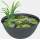 Medaka Bowl Mini Teich 600