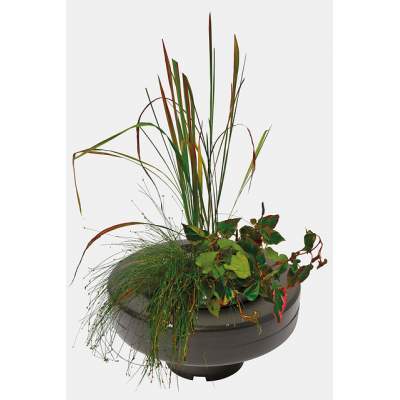 Schwimmender Pflanzenkorb Ø 30cm