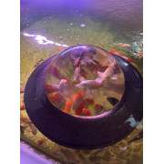 Velda Floating Fish Dome Kugel